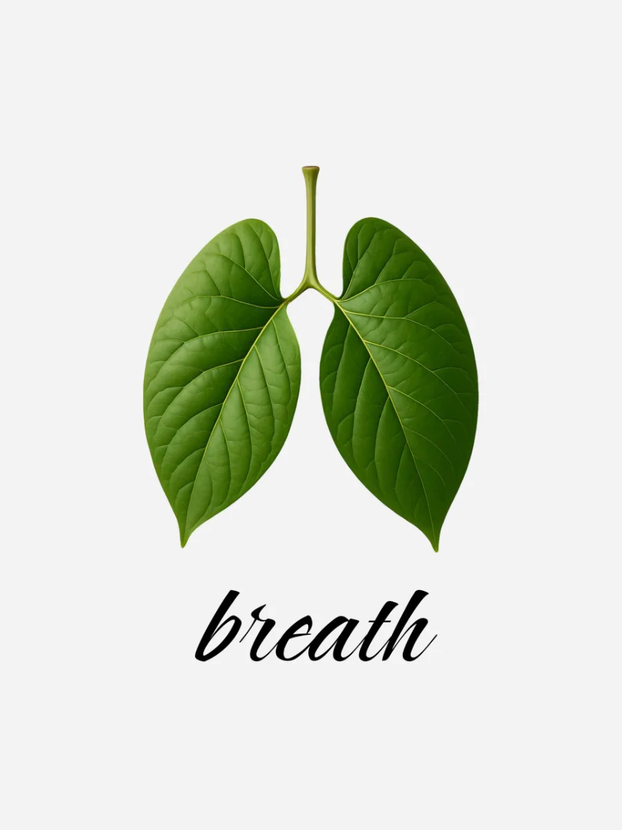 poster affirmation breath