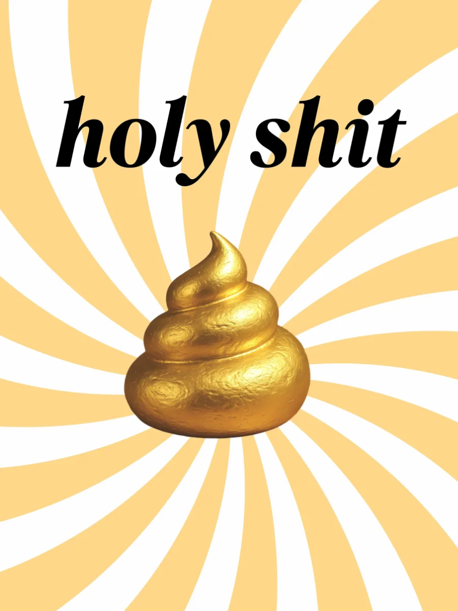 poster-fun-holy-shit poster holy shit